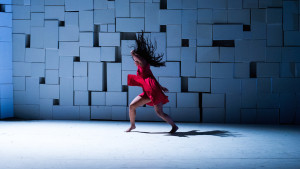 STANDPUNKT.e 2016 Pat Graney. Foto 2