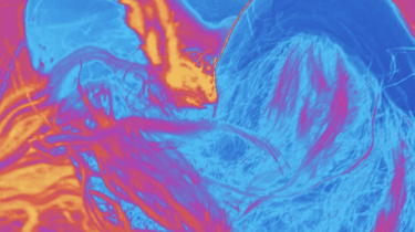 Netzwerk TanzPlusSüd: OPEN CALL