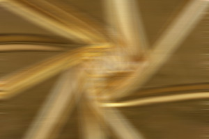 schwere reiter verlost 5 Golden Cards!