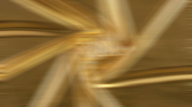schwere reiter verlost 5 Golden Cards!