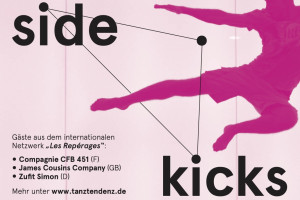 side.kicks 2013 I Archiv