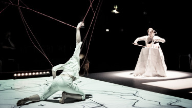 LANDSCAPES OF MY INNER DIASPORA / PINK LADY 2.0 SOLO