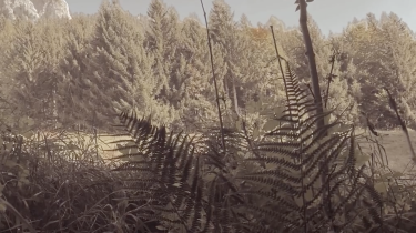 Matteo Carvone: TROPICI