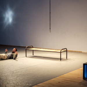 Micha Purucker: splitter + stream / rhetorics of flesh