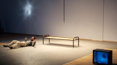 Micha Purucker: splitter + stream / rhetorics of flesh