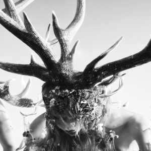 Stephanie Felber & Team: FURORIS