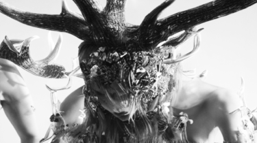 Stephanie Felber & Team: FURORIS